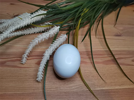 egg